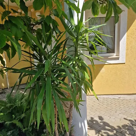 Penzion Zsuzsanna Ház